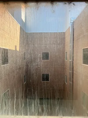 Brutalist looking three-sided brick enclosure seen through a dirty window