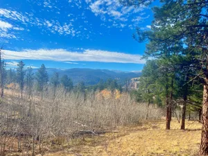 View from a forest trail near South Fork, Colorado