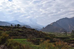 Farmland in the foreground and smoking volcano in the background