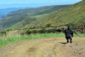 Man carrying long sticks up a dirt road above a green valley